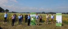 Projekt "Bunte Biomasse" - Wildblumen auf dem Feld von Landwirt Richard Schulte © Foto Kreis Paderborn